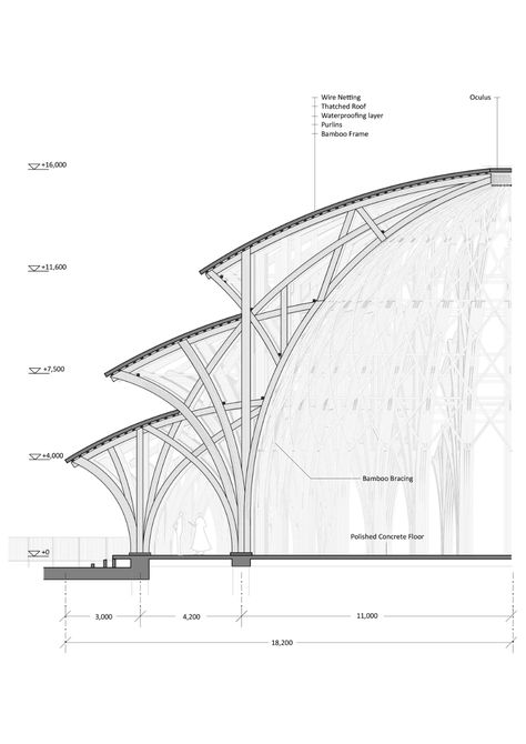 Shading Structure Architecture, Wave Inspired Architecture, Bamboo Architecture Structure, Tree Structure Architecture, Roof Structure Architecture, Curve Architecture, Arch Structure, Vtn Architects, Structural Model