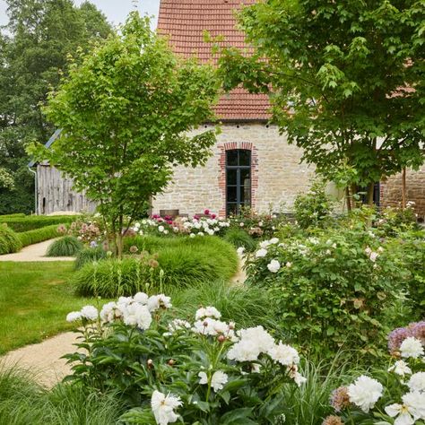 Perennial beds in the courtyard garden Garden Design, Architecture, Ideas, Stonehenge, Garten Ideen, Garten, Garden, Hof, Front Garden