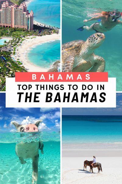 Things To Do In Bahamas, Bahamas Travel Guide, Carribean Travel, Exuma Island, Pig Beach, Bahamas Resorts, Paradise Island Bahamas, Exuma Bahamas, Swimming Pigs