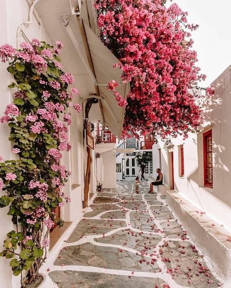 Shaded Garden, Mykonos, Wildlife Garden, Fotografi Kota, Beautiful Streets, Beautiful Places To Travel, Pretty Places, Shade Garden, Travel Aesthetic