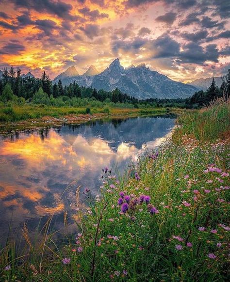 Adventure Enthusiasts on Instagram: "Grand Teton! 📸: @davie8thebaby #adventurenthusiasts - - - - #grandteton #grandtetons #grandtetonnationalpark #nps #nationalpark #nationalparks #nationalparkgeek #mountains #wyoming #wyominglife #explorewyoming #visitwyoming #wyomingphotographer" Nature, Travelling Destinations, Mountains Wyoming, Wyoming Nature, Wyoming Mountains, Landscape Painting Watercolor, Wyoming Vacation, Yellowstone Trip, Mountain Pictures