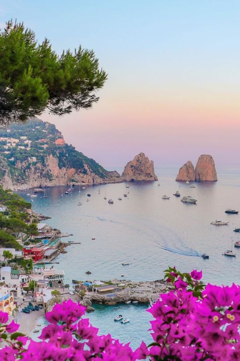 Dreamy Capri, with its cliffs plunging into the sea, has been a destination for sophisticated sun-seekers for decades. 📸: @lucas_gdos on Instagram Summer, Destinations, Nature, Nature Photography, Instagram, Travel Aesthetic, Pretty Places, Nature Pictures, Lugares