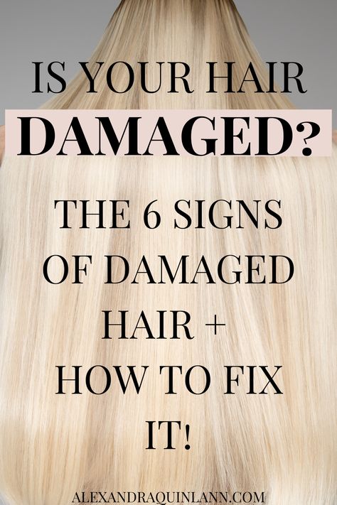 Hair Breakage After Bleaching, Healthy Hair Remedies For Damaged Hair, Make Your Hair Healthy Again, Fix Damaged Hair Diy, Reduce Hair Breakage, Stop Split Ends And Breakage, What To Do For Damaged Hair, Home Remedy For Damaged Hair, What To Do With Damaged Hair