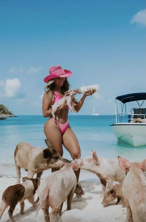 Baddie Aesthetic 💋 | swimming with the pigs in the Bahamas is definitely on my bucket list 🐷 🏝 🌊 | Facebook Pigs, Aesthetic Swimming, Swimming Pigs, Baddie Aesthetic, My Bucket List, The Bahamas, On Vacation, Animals Friends, Bahamas