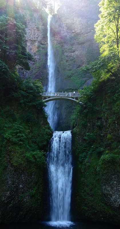 Nature, Portland Oregon Travel, Oregon Aesthetic, Affiches D'art Déco, Waterfall Wallpaper, Oregon Life, Oregon Vacation, Magic Mountain, Oregon Photography