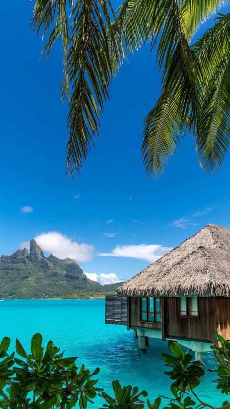 Luxury Honeymoon Destinations, Tahiti Honeymoon, Bora Bora Resorts, Beautiful Vacation Spots, Luxury Honeymoon, Dream Vacations Destinations, Beautiful Vacations, Tapeta Pro Iphone, Honeymoon Travel