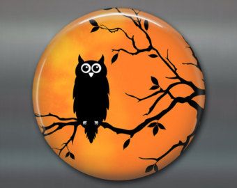 Popular items for owl magnets on Etsy