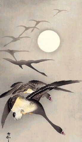 "Flight of Ducks" by Japanese painter Ohara Koson (1877-1945). - Moon Paintings of China and Japan