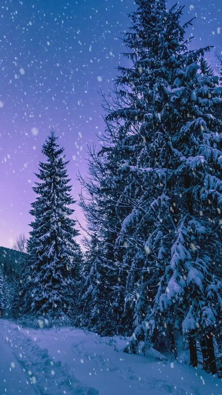 This may contain: snow falling on the ground and trees in the background at night with purple sky above