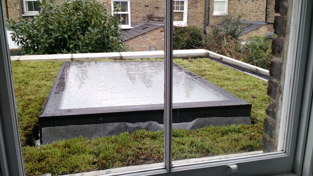 Picture of a flat roof in london, with a skylight, that has moss growing on top