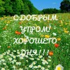 Доброе утро природа картинки