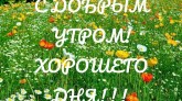 Доброе утро природа картинки