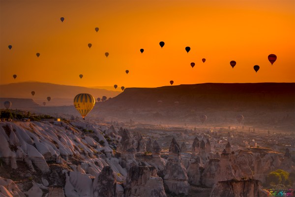 : Zeki Seferoglu