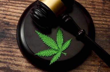 Cannabis License Fee Waiver