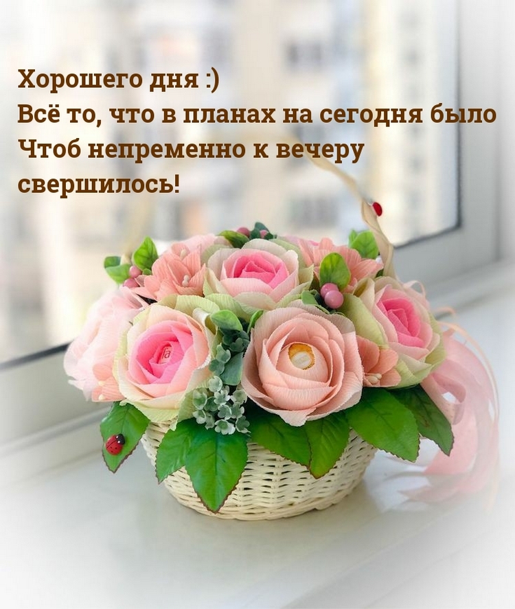 dobrogoutra_ru_4902.jpg