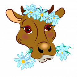 portrait-a-cute-cow-vector-27033911-removebg-preview.th.png