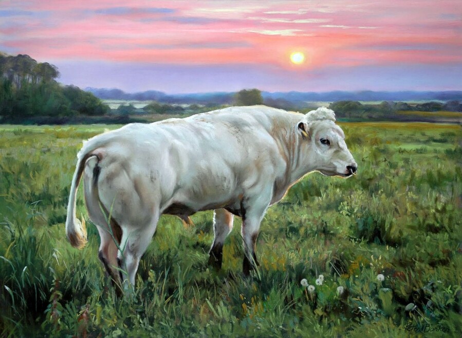 White_Bull_at_Sunset_yapfiles.ru.jpg