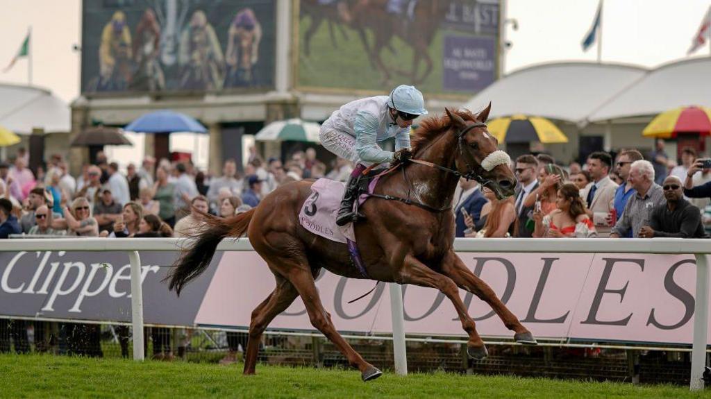 Oisin Murphy riding Giavellotto