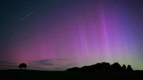 silhouette of a tree and a hill with striking image of purple and green of the aurora.  Can also see white dots of stars and a streak of a shooting star