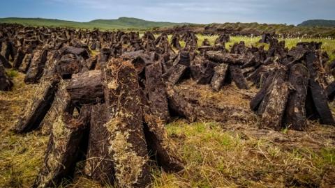 Peat stacks