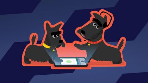 Illustration of two cartoon scottie dogs using a mobile phone. 