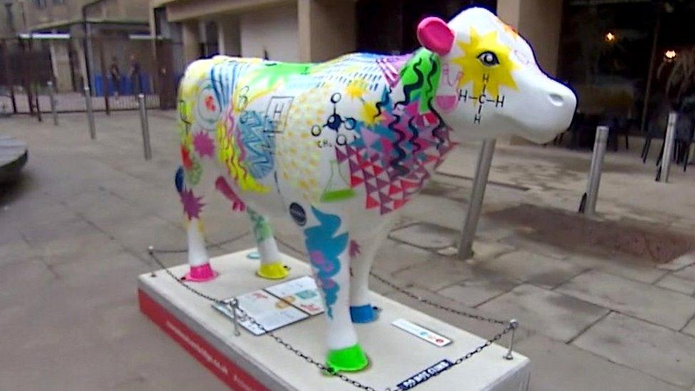 Cambridge cow art trail