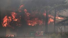 пожар в Чили