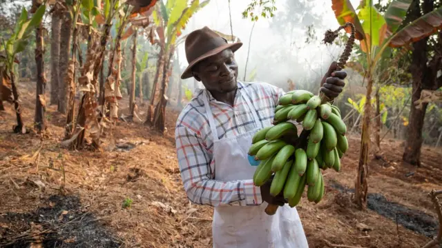 Fermier avec des bananes