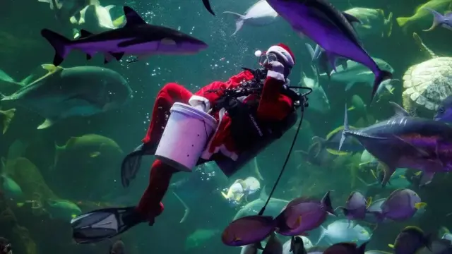 Джакарта, Индонезия. Наряженный Санта-Клаусом дайвер кормит рыб в океанариуме