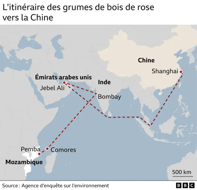 Carte montrant l'itinéraire commercial du bois de rose du Mozambique à Shanghai (Chine)
