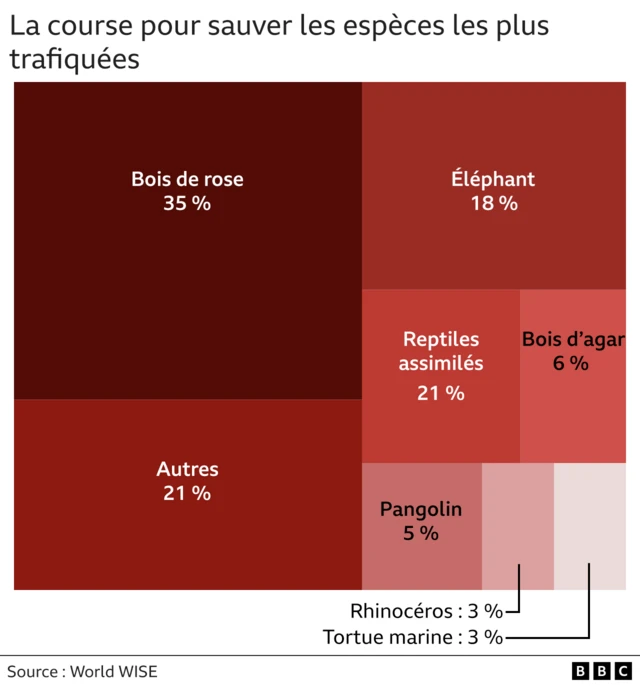 Un tableau montrant les espèces les plus trafiquées