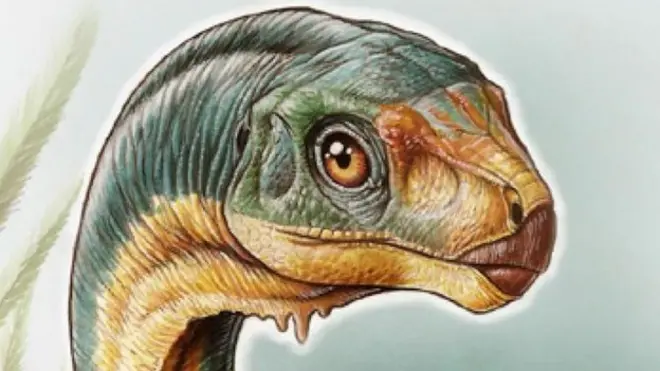 Chilesaurus