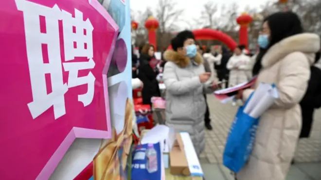 Job seekers are looking for suitable positions at a job fair in Handan, North China's Hebei province, on February 19, 2024