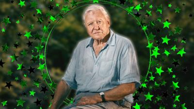 Nature on CBBC - The Legendary Sir David Attenborough Quiz