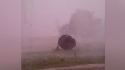 A trampoline blowing through a garden in torrential rain