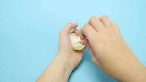 A pair of hands peeling off a thin layer of onion skin.
