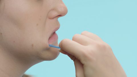 A person in the process of swabbing the side of their cheek with a cotton bud. 