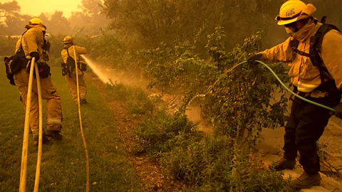 Three firefighters spray water onto brush amidst a haze (Credit: Kari Greer)