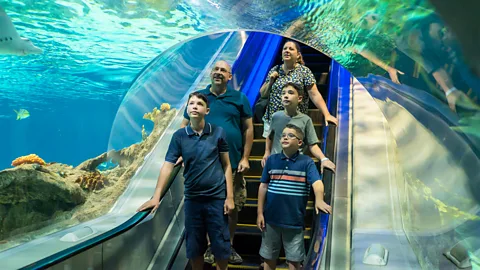 A family going through a tunnel in Odysea Aquarium (Credit: Visit Mesa Autism Travel)