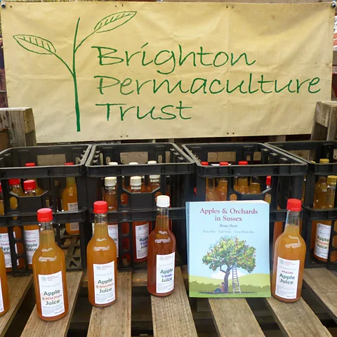 Norman Miller Apple juice is on display at Brighton Permaculture Trust (Credit: Norman Miller)