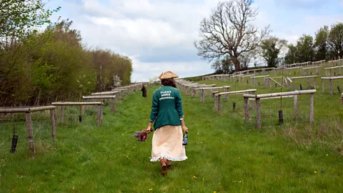 Artistraw Cidery and Orchard Activists are planting British heritage varieties of apples in community plots (Credit: Artistraw Cidery and Orchard)