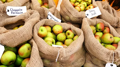 JohnGollop/Getty Images There's a renewed British passion for its rich larder of heritage apples (Credit: JohnGollop/Getty Images)