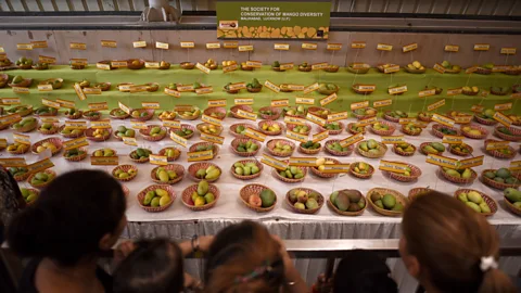 Getty Images There are reportedly over 1,500 mango varieties growing in India, each with its own distinctive flavour and texture (Credit: Getty Images)