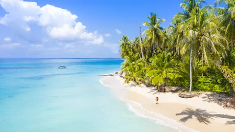 Andrea Comi/Getty Images A new portal is enabling visitors to explore Panama's lush rainforests and palm-fringed islands more meaningfully (Credit: Andrea Comi/Getty Images)