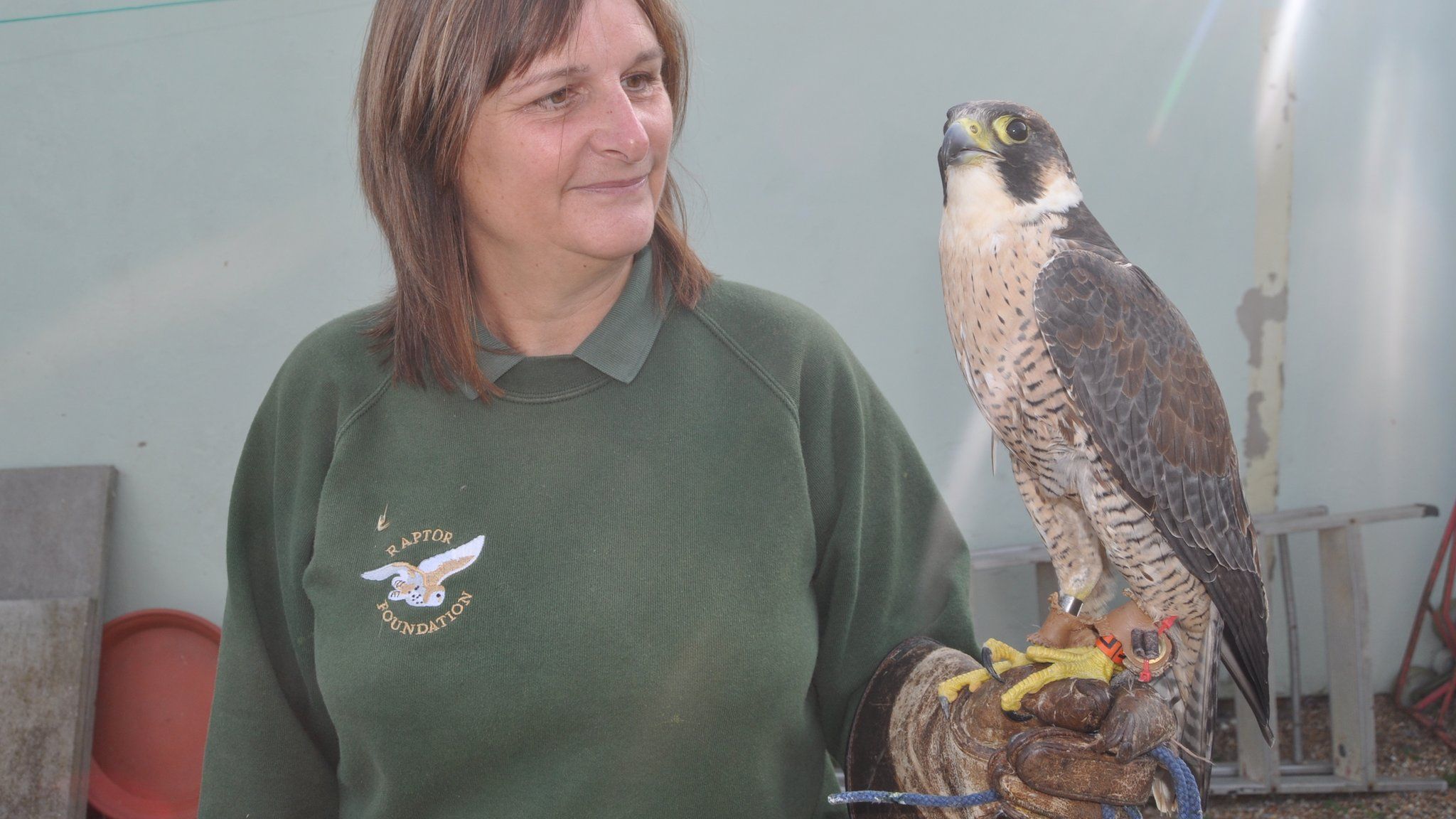 Liz Blows and a peregrine falcon