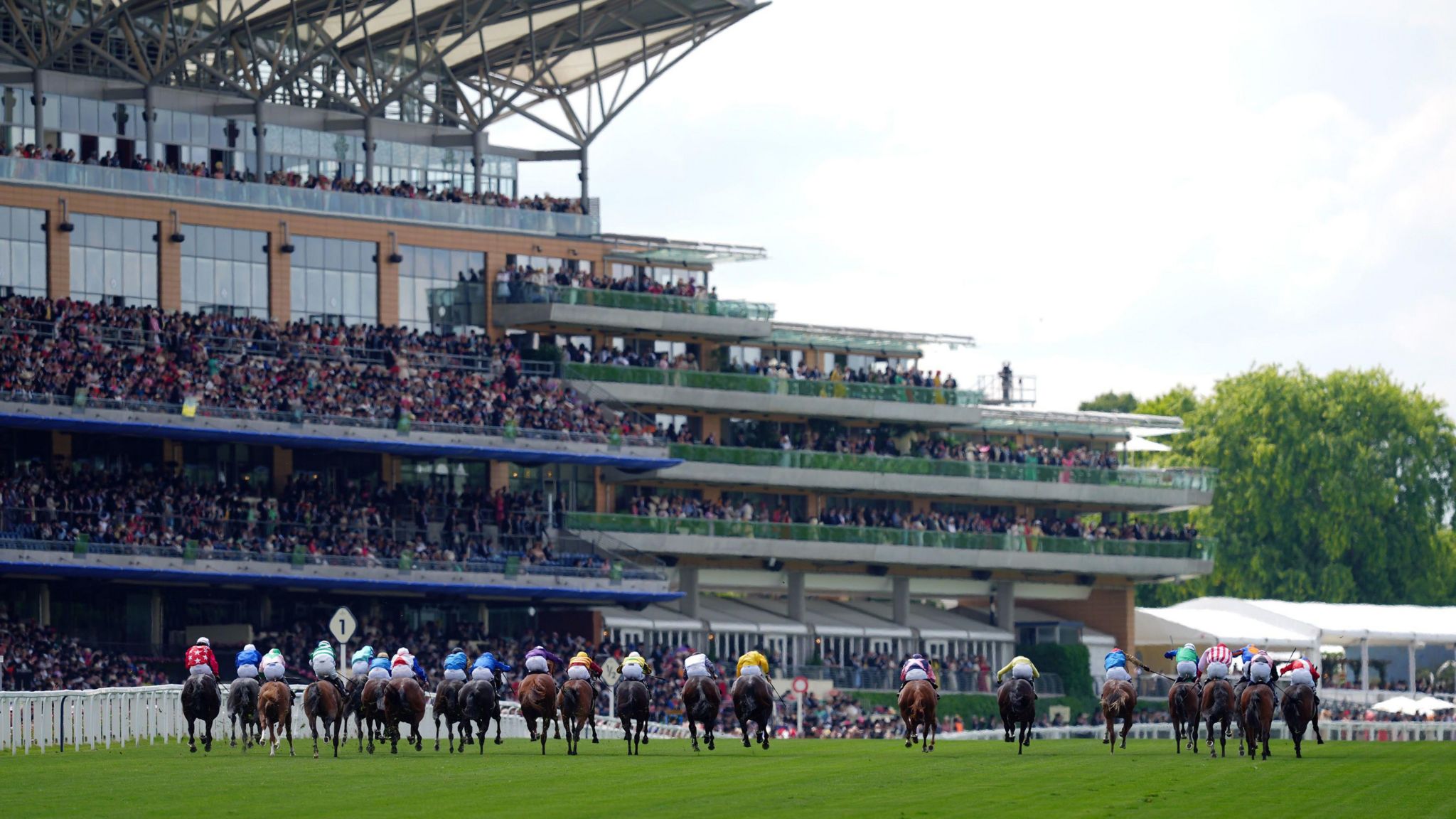 Race horses running away from the camera with stands full of crowds of people towering over them