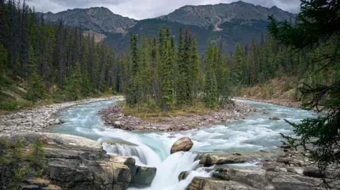 Getty Images A waterfall in Jasper