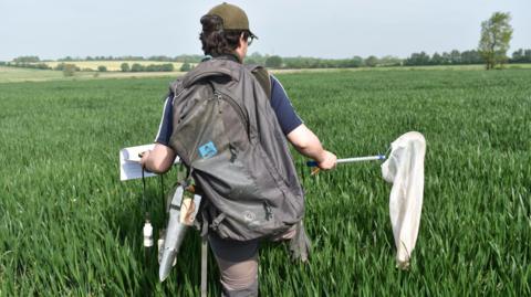 Capped person with rucksack in field 