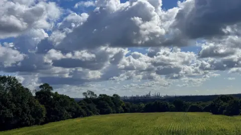 New Forest Explorer A green field surrounded by trees under a blue sky with grey skies. On the horizon you can see the large cranes at Southampton docks ready to unload containers from cargo ships.