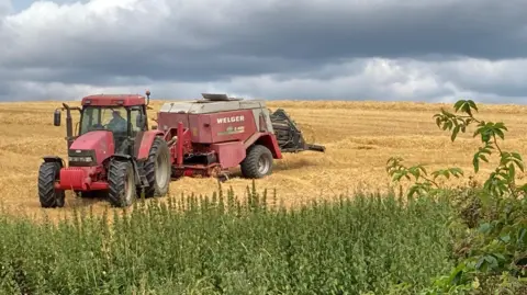 Robin A red tractor is pulling a harvesting machine under heavy cloud